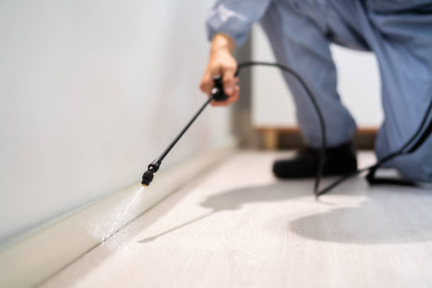 Licensed Pest Control service in Milford city, CT - Show Me Pest Control