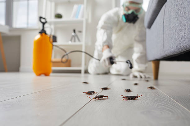 Commercial Kitchen Cockroach Control in Milford city